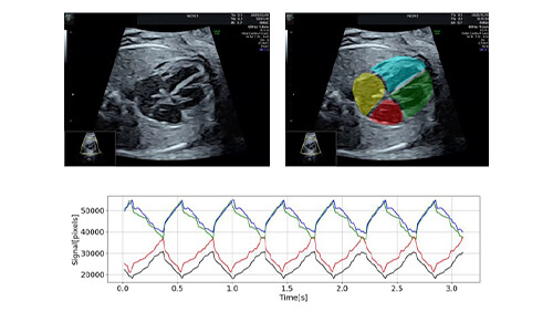 Remote label check service